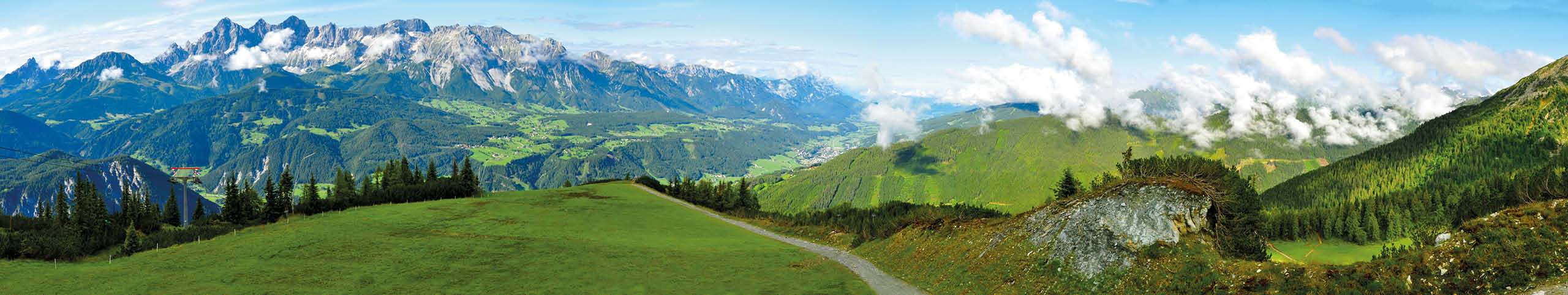 Banner Fribourg-Vaud - Zwitserland